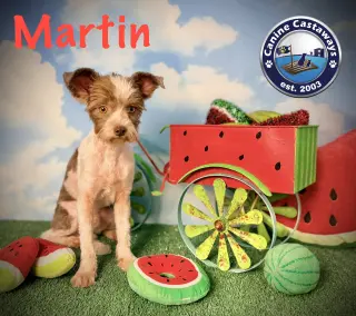 Martin