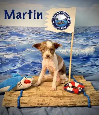 Martin