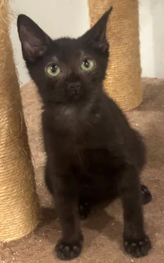 Tiny