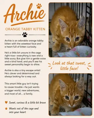 Archie (FCID# 07/27/26 - 9 Trainer