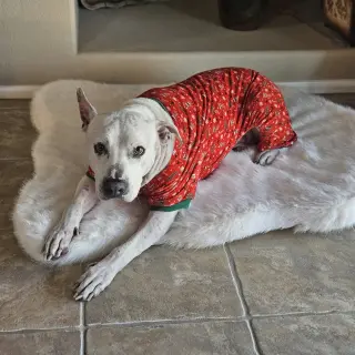 MARTY