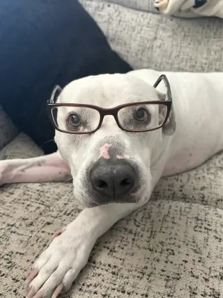 MARTY