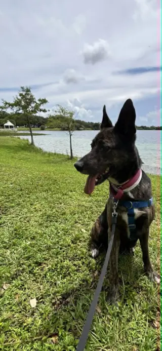 Maya - Located in Florida