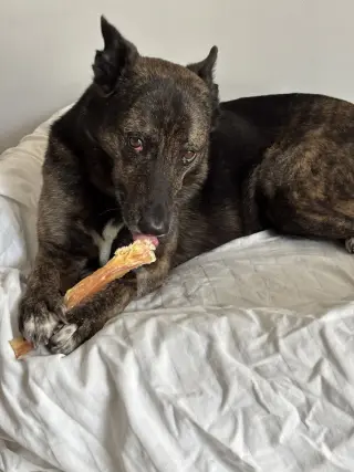 Maya - Located in Florida