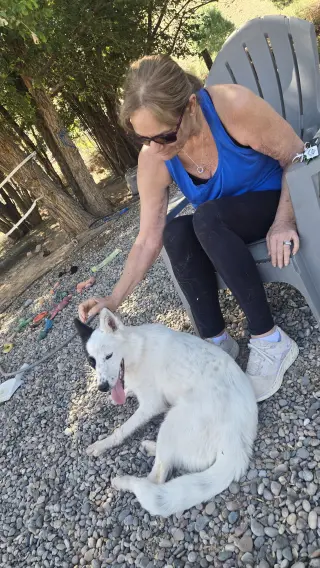 **BANDIT