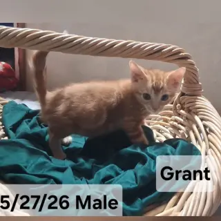 Grant (& sibling)