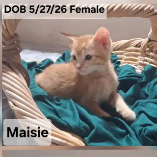 Maisie (& Lexie)