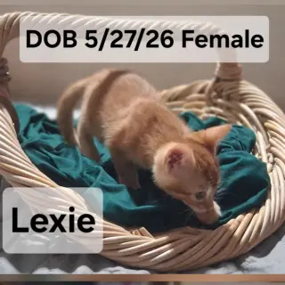 Lexie (& Maisie)