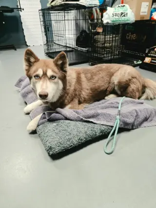 Kita