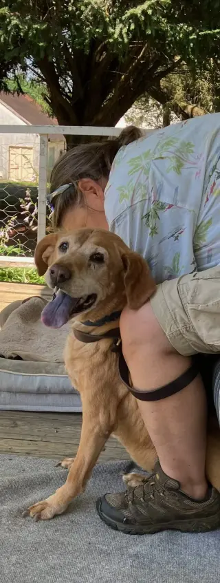 Simba