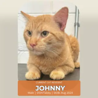 Johnnie
