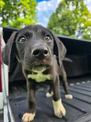 Jones