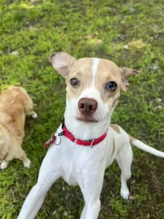 Misty Chi3 *LOCAL*
