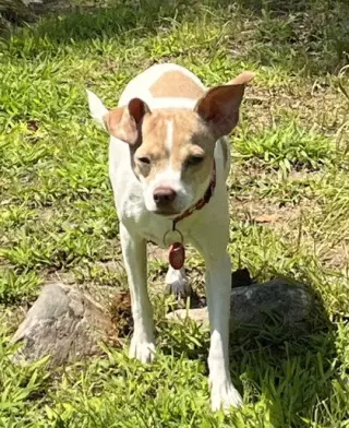 Misty Chi3 *LOCAL*