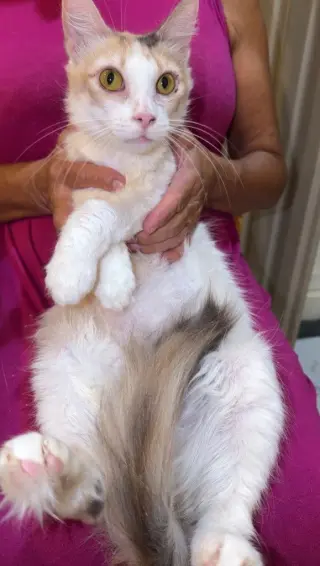 Carlita