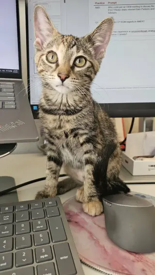 Peanut