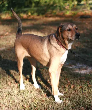 Nora