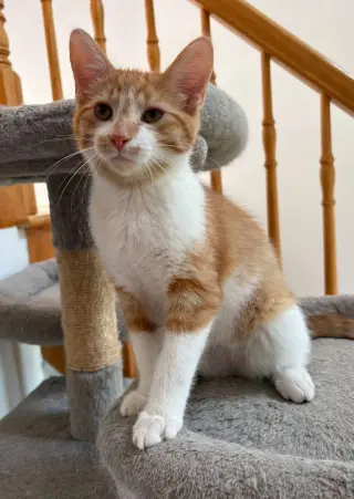 Arlo