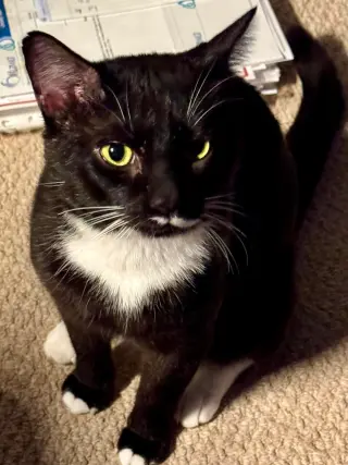 Tux