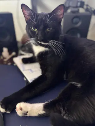 Tux