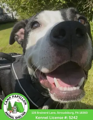 Billy