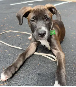 Oliver