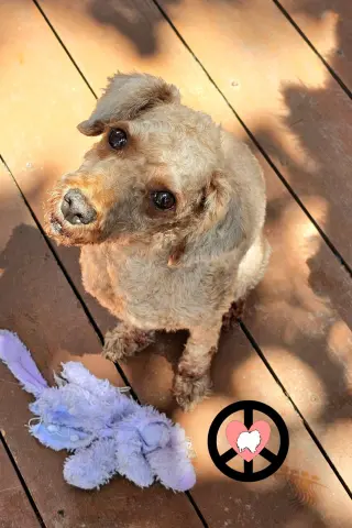 Chance