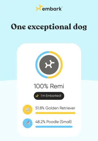 Remi