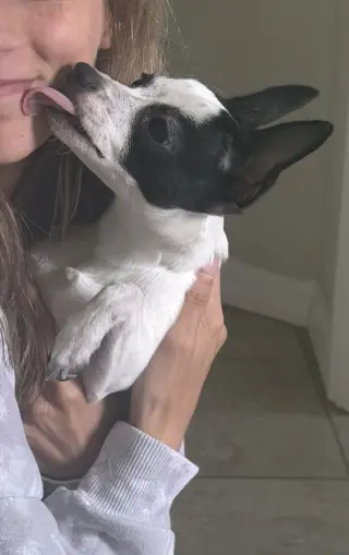 Luna Chi
