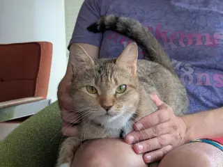 Sierra