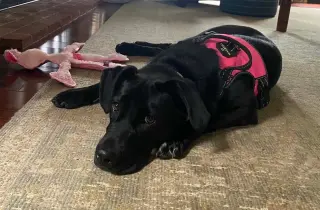 Bonnie