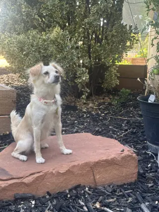 Belle Bella