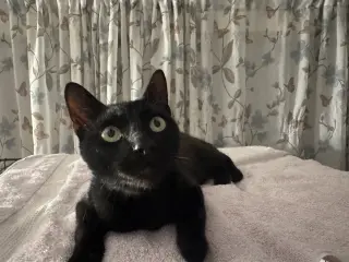 Trouble