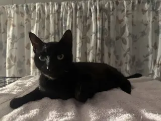 Trouble