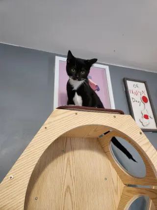 Doritos