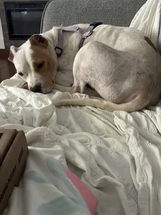 Gravy (Mama)