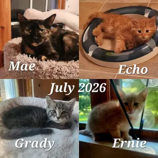 Mae