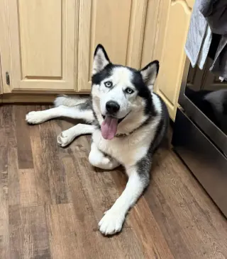 Odin