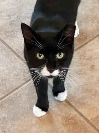 Andy