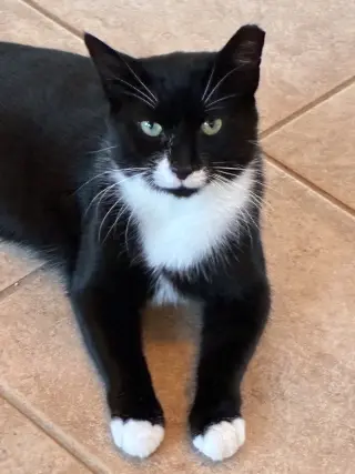 Andy
