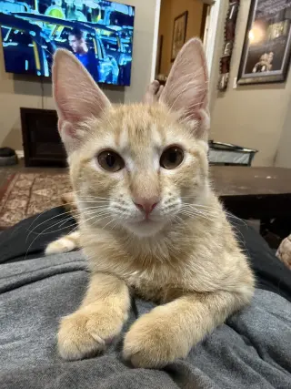 Margo W