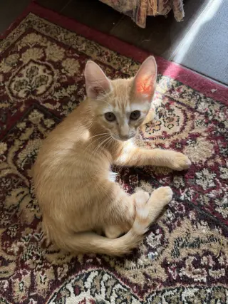 Margo W