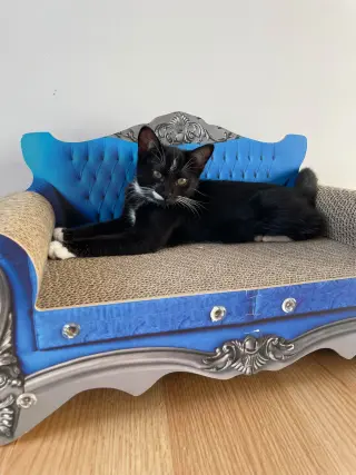 Gary