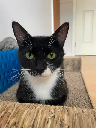 Lilian