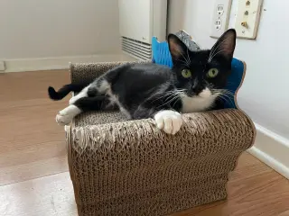 Lilian