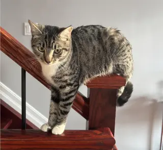 Mama