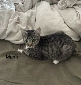 Mama