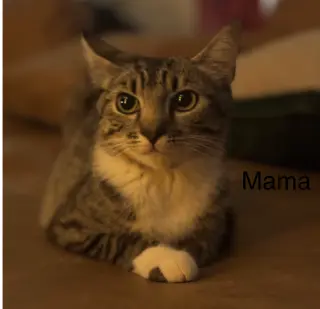 Mama