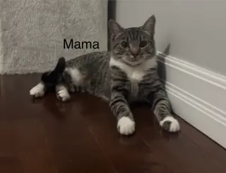 Mama