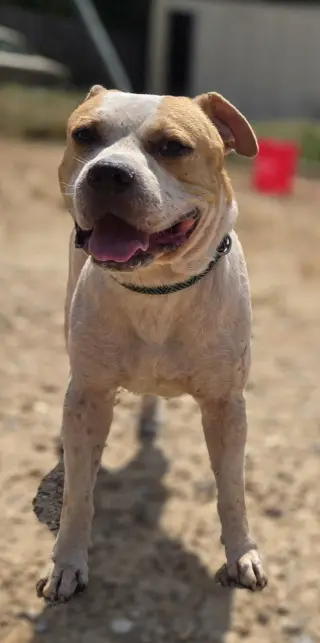 Jax
